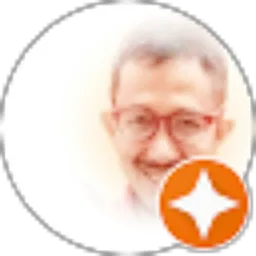 Review From didin bachtiar