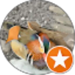 Review From christ
