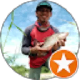 Review From Faridallah