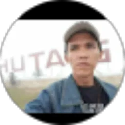 Review From ALBERT HALOMOAN NABABAN