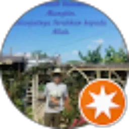Review From Sarju Raharjo