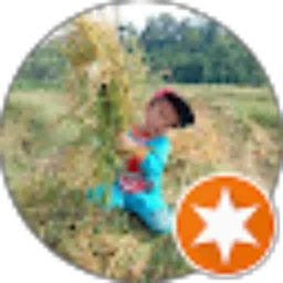 Review From FX Wargodo