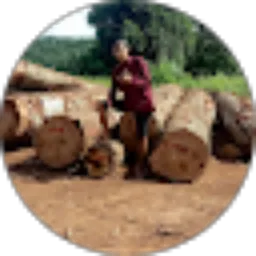 Review From Yadi Barbera