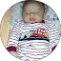 Review From Muhammad Habibi