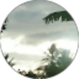 Review From M D