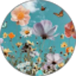 Review From Suzana Sisilia