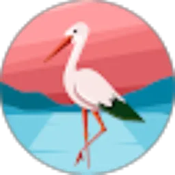 Review From Am Ran