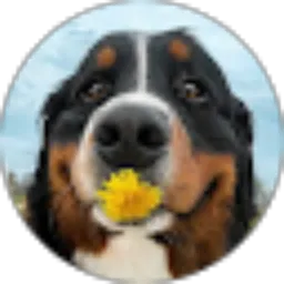 Review From Laura Daniellaaa ʕ•ع•ʔ