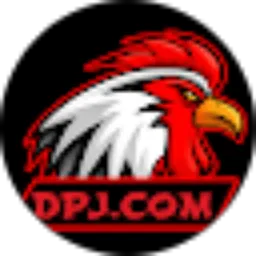 Review From DPJ Costumb