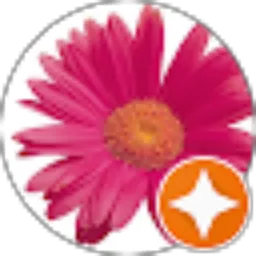 Review From IVANNA VIANNEY