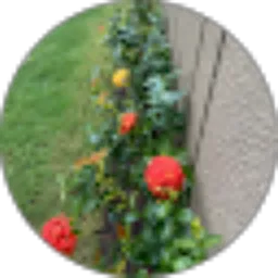 Review From wendy coolz