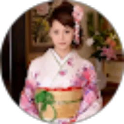 Review From Penerjemah Jepang