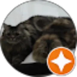 Review From kucing wanda