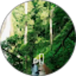 Review From Ulfa Weli Hrp