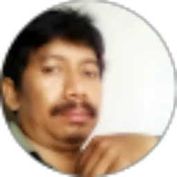 Review From Muhammad Mulyono