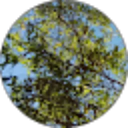 Review From vi