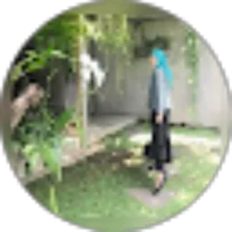 Review From Istiqamul Hafidzah