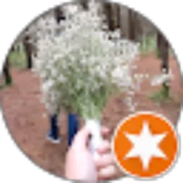 Review From Piki Piki