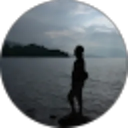 Review From Doni Hariwijaya