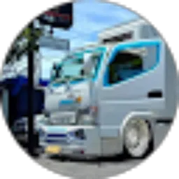 Review From Ansel Mus