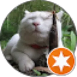 Review From choiriyah handoko