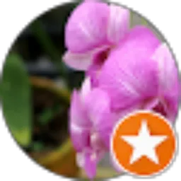 Review From Lusi Hastari