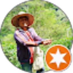 Review From Hadie Syah