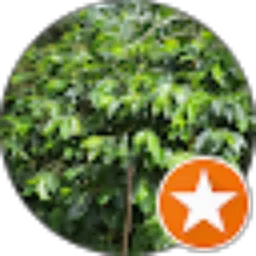 Review From nettimailia 01