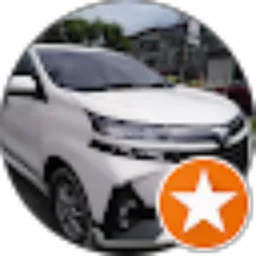 Review From Alvy Alvysta
