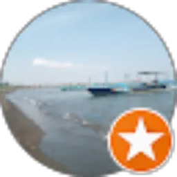 Review From Saudi Yanto