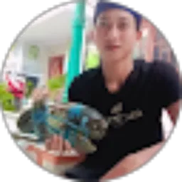 Review From YT Channel
