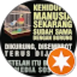Review From Satu Enam