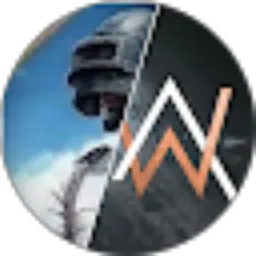 Review From WALKERPUBG JOIN