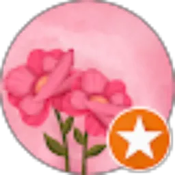 Review From Karina