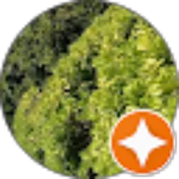 Review From Antonio Ra