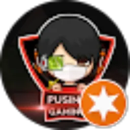 Review From PUSING GAMING