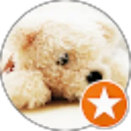 Review From Ria