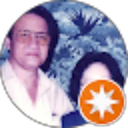 Review From Rizad Sutinjo