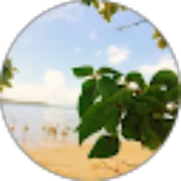 Review From Shevynur Alviani