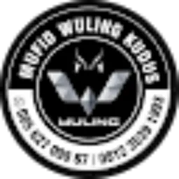Review From WULING AJM kudus