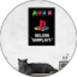 Review From Nelson Game playstation