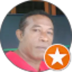 Review From Wonggorsup Asaribab