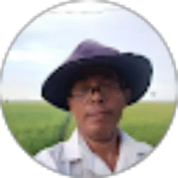 Review From Julio Caesar