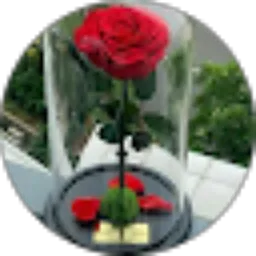 Review From SYARIFUDDIN. S