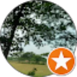 Review From 13 Tjoeng