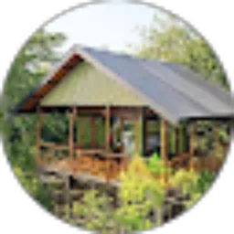 Review From Araya Dive Resort