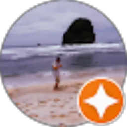 Review From Bagas Wimono