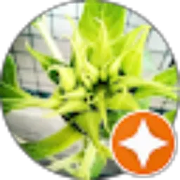 Review From cah ndeso