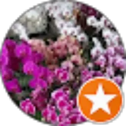 Review From Azalia Flower
