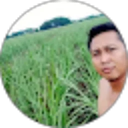 Review From nur wachid